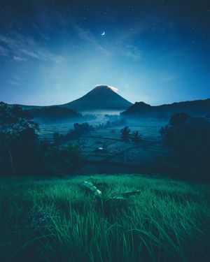 aron-visuals-974734-unsplash